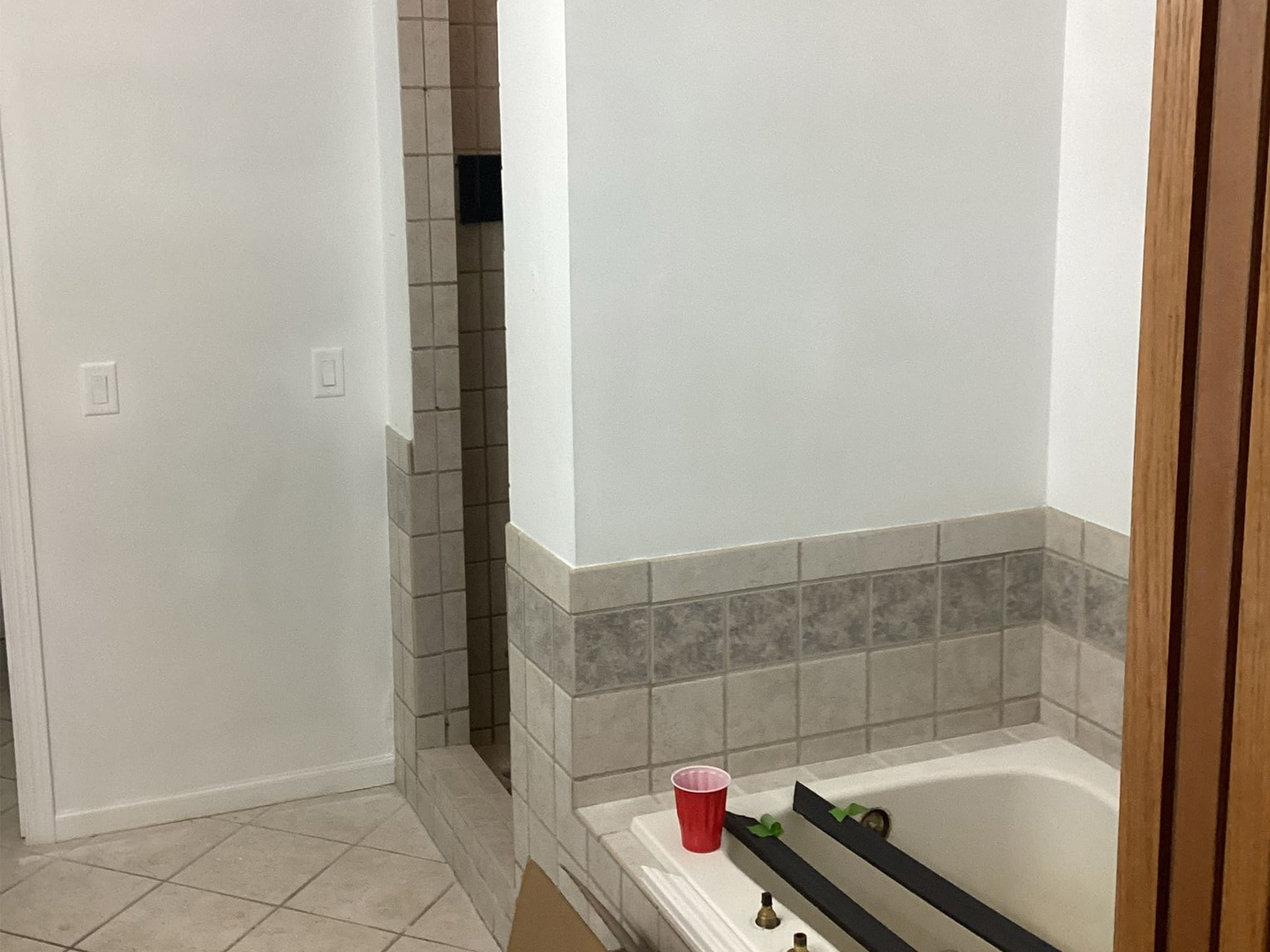 Bathroom Before