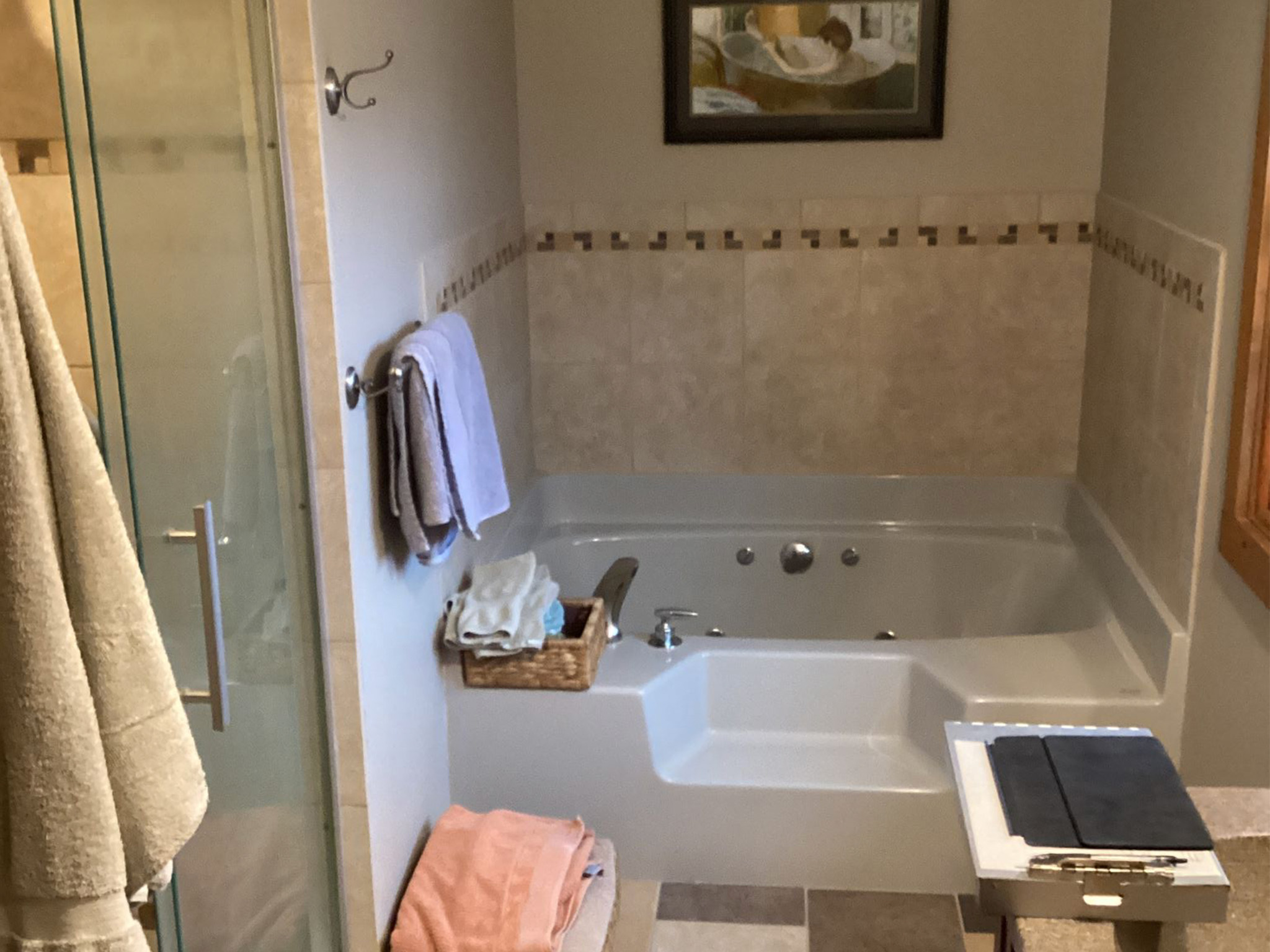 Bathroom Remodel Before